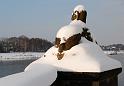 2010-12-02, Neuschnee (8)